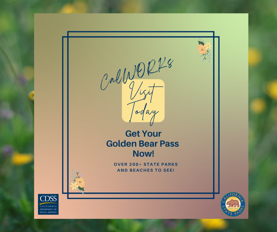 Golden Bear Pass Partner Toolkit